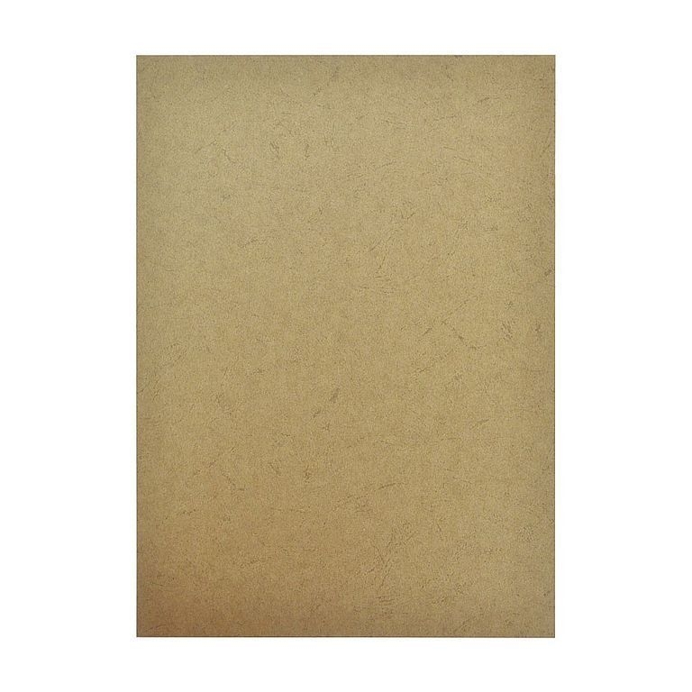 Картон А4 для сшивки документов - изображение 1
