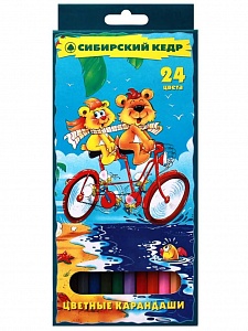 Набор карандашей цветных "Сибирский кедр. Мишки на велосипеде", 24 цвета